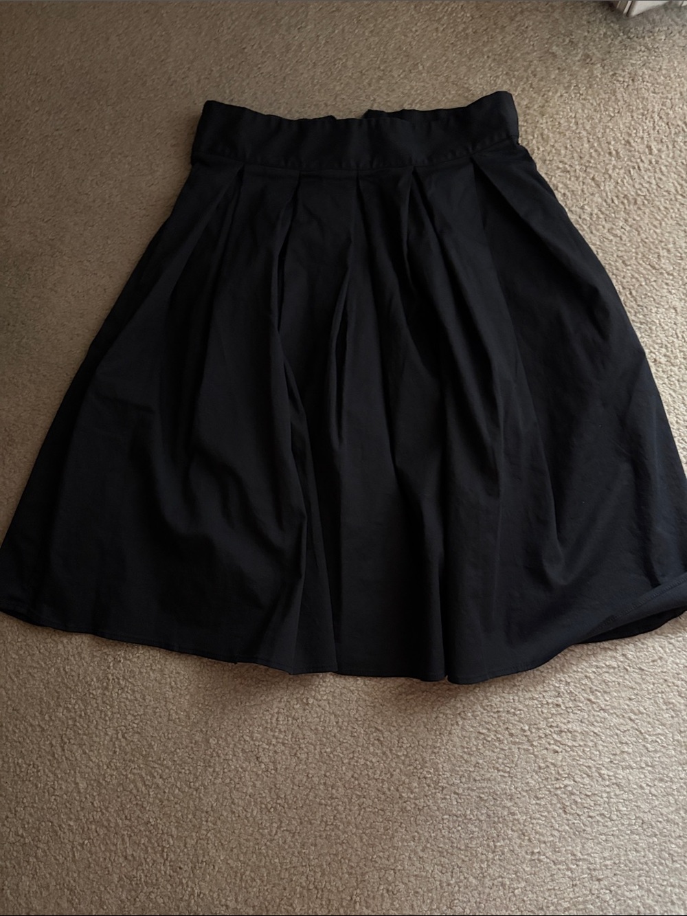 Black Pleated A-Line Women's Skirt